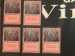 画像1: 【送料無料】山/Mountain LEA 10枚組【英語版】 (1)